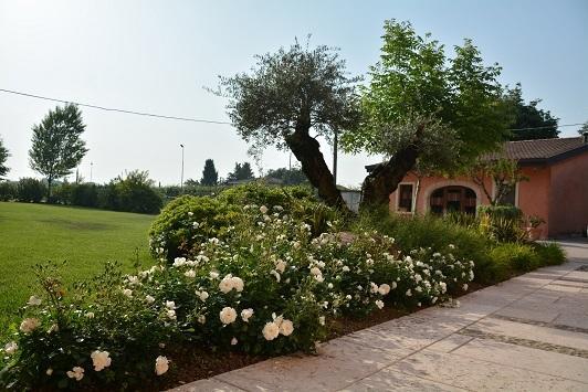 Farm stay Agriturismo Corte Morandini Valeggio sul Mincio